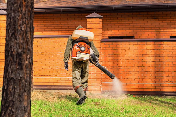 Trusted Mosquito Control service in Williamstown, NJ - Nex Pest Control
